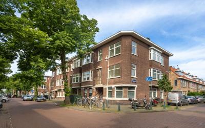 Linnaeusstr. 241