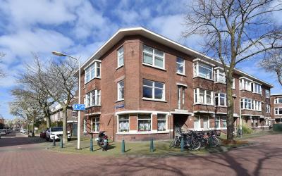 Linnaeusstr. 263