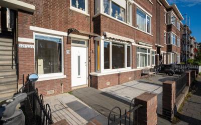 Damasstraat 219