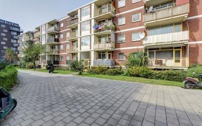 3e Eeldepad 50
