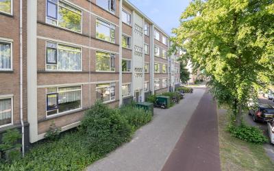 Steenwijkla. 384