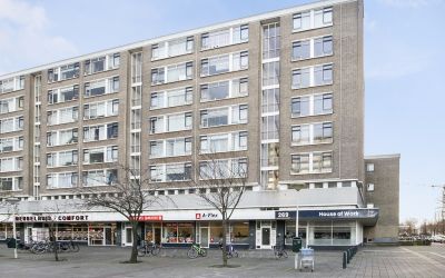 Beresteinla. 273