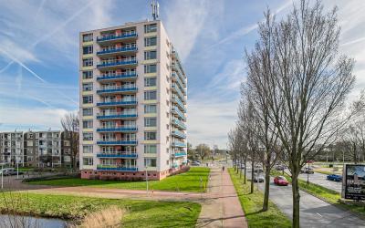 Schoutendre. 311