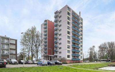 Schoutendre. 325
