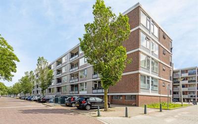 Wolvenrade 39