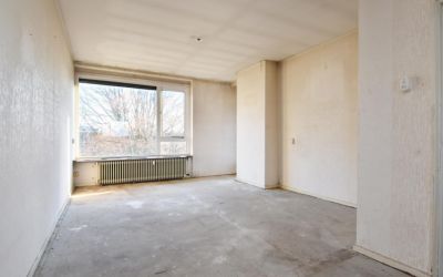 Wolvenrade 231