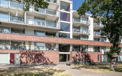 Dedemsvaart. 556