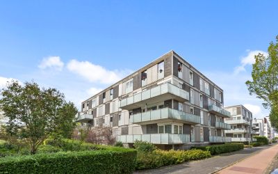 Dedemsvaart. 513