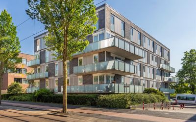 Dedemsvaart. 517