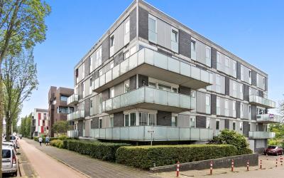 Dedemsvaart. 529