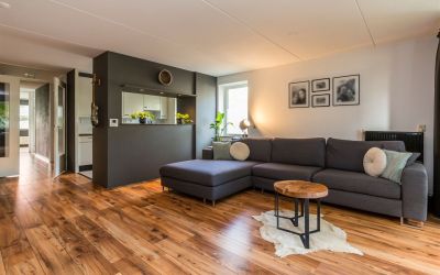 Dedemsvaart. 623
