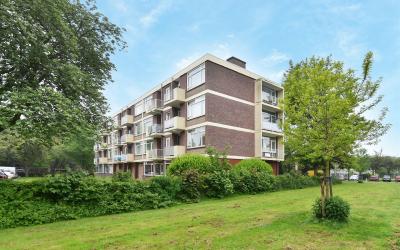 Hengelolaan 217