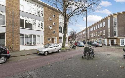 Huisduinens. 100