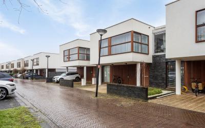Groenland 61