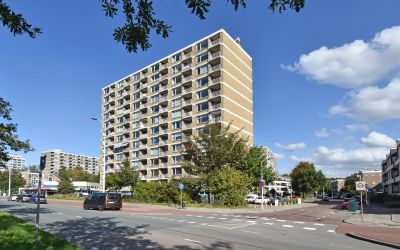 Teunisbloem. 44