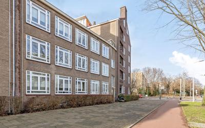 Groen van P. 3
