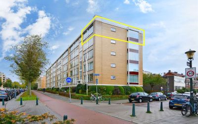 Groen van P. 61