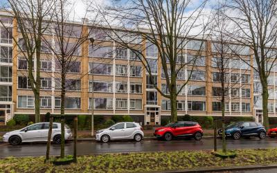 Groen van P. 111