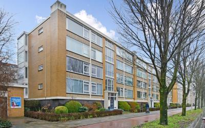 Groen van P. 233