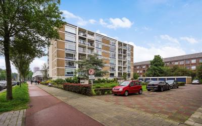 Groen van P. 62