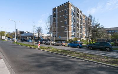 Groen van P. 92