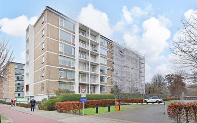 Groen van P. 236