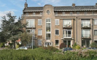 Dotterbloem. 50