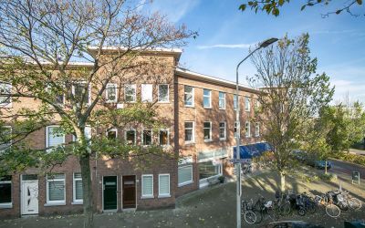 Vlierboomst. 109