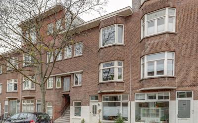 Vlierboomst. 141