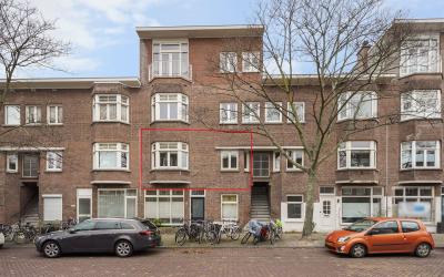 Vlierboomst. 147