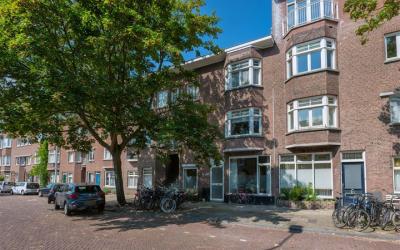 Vlierboomst. 151