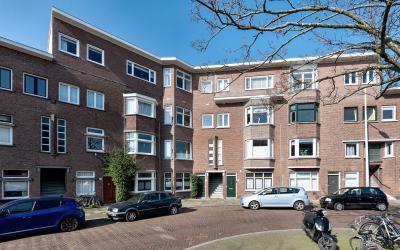 Vlierboomst. 207