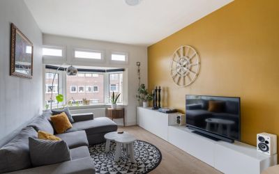 Vlierboomst. 292