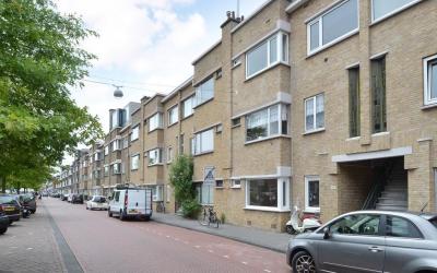 Vlierboomst. 285
