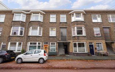 Vlierboomst. 371