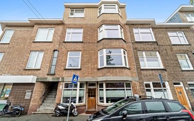 Vlierboomst. 401