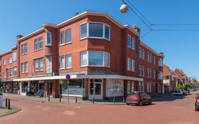 Vlierboomst. 417