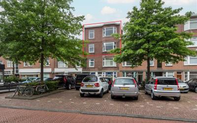 Vlierboomst. 585