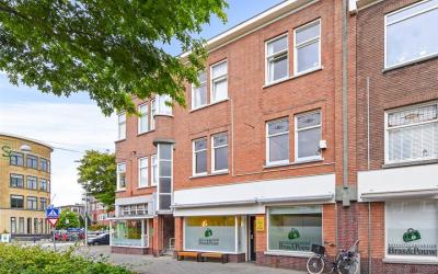 Vlierboomst. 595