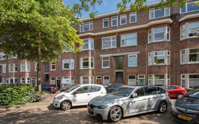 Vlierboomst. 396