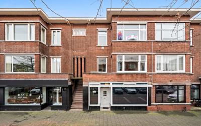 Vlierboomst. 508