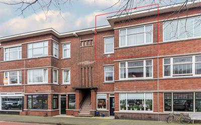 Vlierboomst. 518