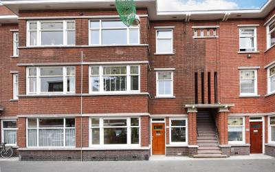 Vlierboomst. 624