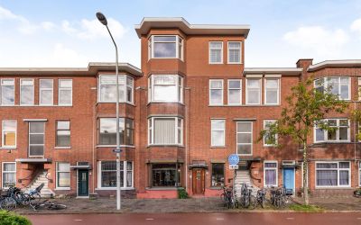 Mient 461