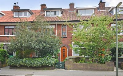 Goudreinetstraat 584