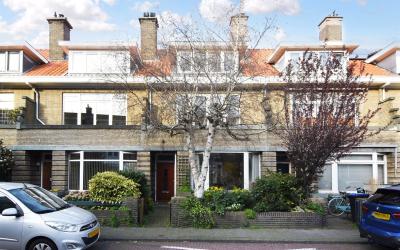 Ananasstraat 117