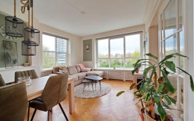 Ridderspoor. 34