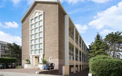 Ridderspoor. 210