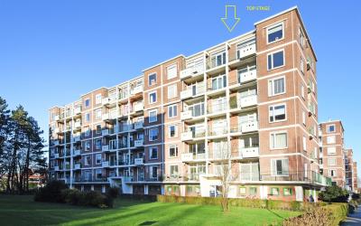 Ranonkelstr. 325