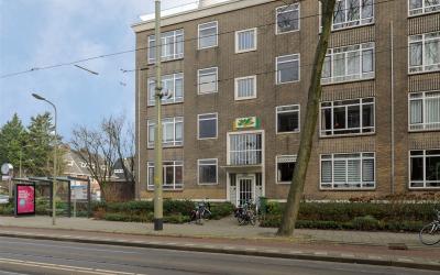 Goudenregen. 319